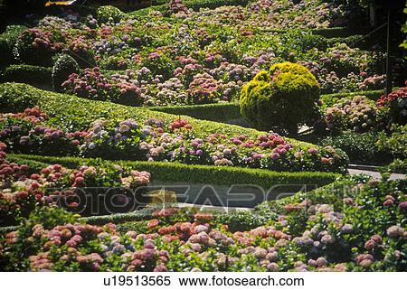 Montclair Gardens View Large Photo Image Stock Photography - Montclair Gardens. Fotosearch