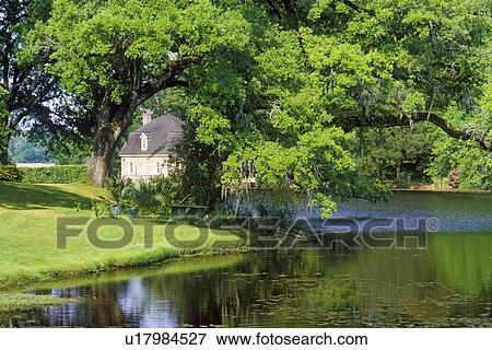 Plantation View Large Photo Image Stock Photo - Plantation. Fotosearch