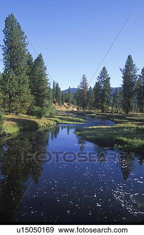 Stock Photo - Stream Meandering Through a Field. Fotosearch