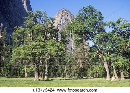 Yosemite National Park View Large Photo Image Picture - Yosemite National Park. Fotosearch