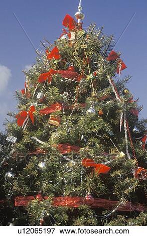 Stock Photo - Christmas Tree. Fotosearch