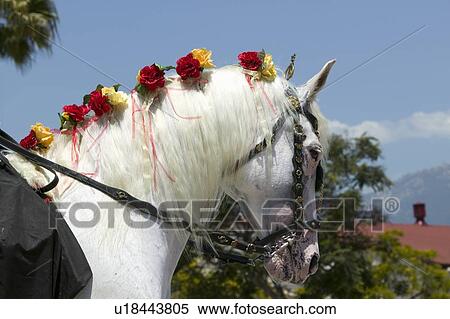 Stock Photography - Horse's mane with flowers . Fotosearch