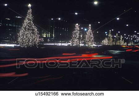Lighted Christmas trees along roadside and automobile taillights at night View Large Photo Image Stock Photograph - Lighted Christmas trees along roadside and automobile taillights at night. Fotosearch