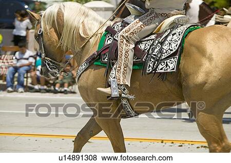 Spanish cowboy on horseback during opening day parade down State Street View Large Photo Image Stock Photo - Spanish cowboy on horseback during opening day parade down State Street. Fotosearch