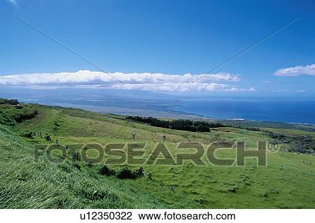 Grassy Hill View Large Photo Image Stock Image - Grassy Hill. Fotosearch
