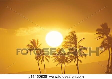 Setting Sun View Large Photo Image Stock Photo - Setting Sun. Fotosearch