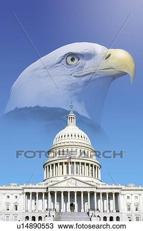 Digital composite: U. S. Capitol with American eagle View Large Photo Image Stock Image - Digital composite: U. S. Capitol with American eagle. Fotosearch