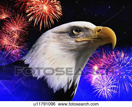 Photo montage: American bald eagle and fireworks View Large Photo Image Stock Photograph - Photo montage: American bald eagle and fireworks. Fotosearch
