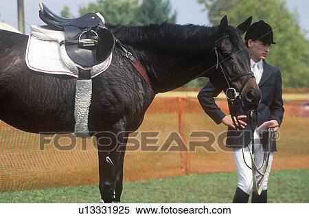 Horse and rider standing by horse View Large Photo Image Stock Photography - Horse and rider standing by horse. Fotosearch