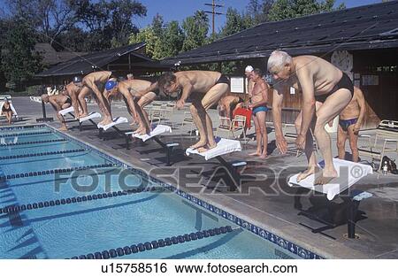 Senior Olympic Swimming competition, Men at starting gate View Large Photo Image Stock Photograph - Senior Olympic Swimming competition, Men at starting gate. Fotosearch