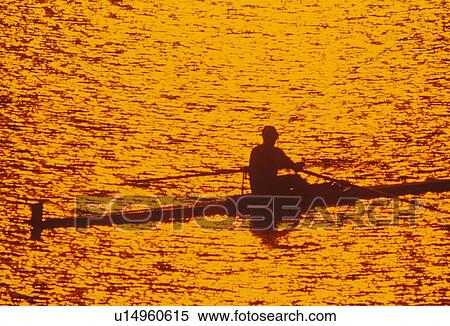 Solitary Rower at sunset View Large Photo Image Stock Photography - Solitary Rower at sunset. Fotosearch