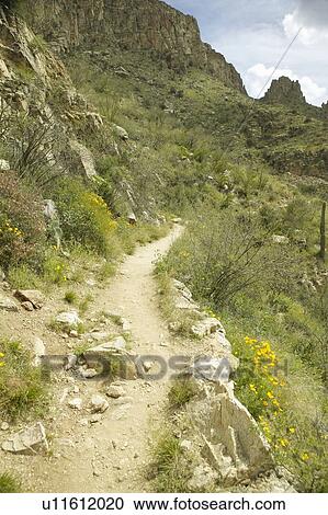 Stock Image - A hiking path winding through spring flowers. Fotosearch