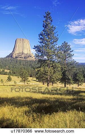 Devil's Tower National Monument, Wyoming View Large Photo Image Stock Photograph - Devil's Tower National Monument, Wyoming. Fotosearch