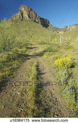 Stock Photography - Dirt tire tracks. Fotosearch