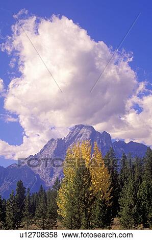 Stock Photo - Grand Teton National Park in Autumn, Jackson, Wyoming. Fotosearch