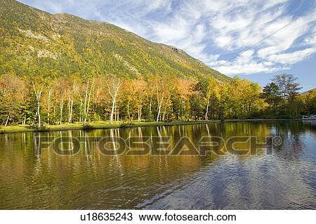 Stock Image - Shoreline at state park. Fotosearch