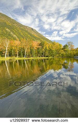 Shoreline at state park View Large Photo Image Stock Photo - Shoreline at state park. Fotosearch