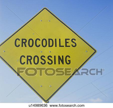 A sign that reads “Crocodiles Crossing” View Large Photo Image Stock Photograph - A sign that reads “Crocodiles Crossing”. Fotosearch