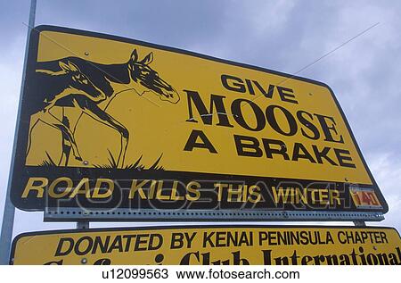 A sign that reads Give moose a brake View Large Photo Image Stock Image - A sign that reads Give moose a brake. Fotosearch