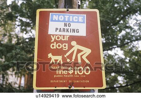 A sign that reads “Notice - No Parking” View Large Photo Image Stock Photo - A sign that reads “Notice - No Parking”. Fotosearch