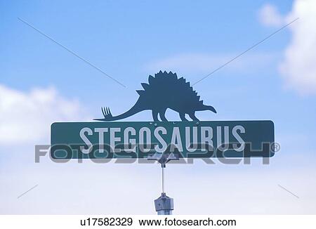 Stock Photo - A sign that reads “Stegosaurus”. Fotosearch