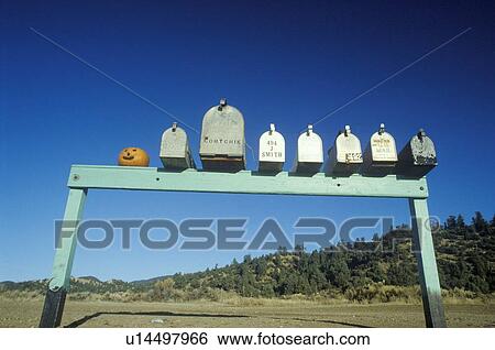 Stock Photograph - Row of country road mailboxes and pumpkin. Fotosearch