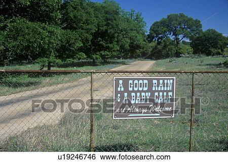 Sign reading 'A Good Rain, A Baby Calf, are Always Welcome' View Large Photo Image Stock Photograph - Sign reading 'A Good Rain, A Baby Calf, are Always Welcome'. Fotosearch