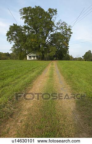Dirt Road and tire tracks leading to country home View Large Photo Image Stock Image - Dirt Road and tire tracks leading to country home . Fotosearch