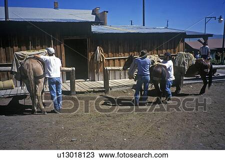 Stock Image - Horseback riding. Fotosearch