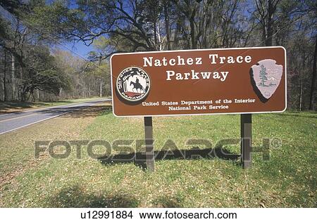National Park roadway in Mississippi View Large Photo Image Picture - National Park roadway in Mississippi. Fotosearch