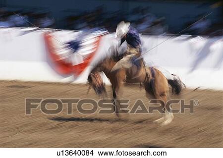 Photo impression of bronco rider at a rodeo View Large Photo Image Picture - Photo impression of bronco rider at a rodeo. Fotosearch