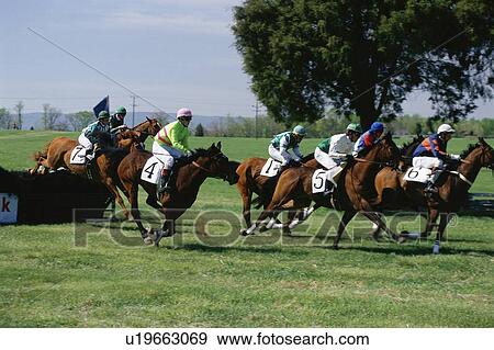 Stock Photo - Steeplechase race. Fotosearch