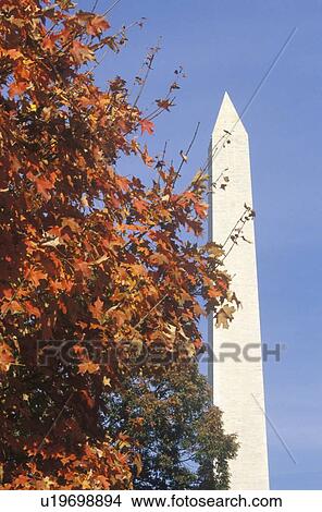 Picture - The Washington National Monument in Autumn. Fotosearch