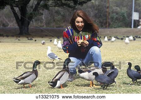 Stock Photography - Woman feeding Mallard ducks. Fotosearch
