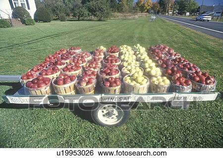 Apple baskets sitting on a trailer by the roadside View Large Photo Image Stock Photograph - Apple baskets sitting on a trailer by the roadside . Fotosearch
