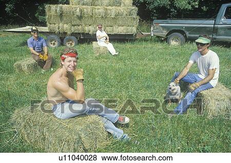 Cattle farmers relaxing on hay bales during the summer View Large Photo Image Stock Photo - Cattle farmers relaxing on hay bales during the summer. Fotosearch