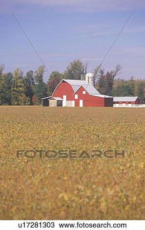 Farm and barn, USA View Large Photo Image Stock Image - Farm and barn, USA. Fotosearch