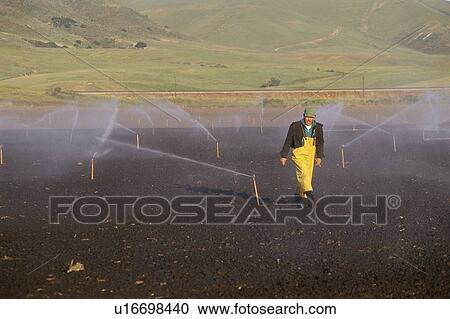 Stock Image - Farmer checking the water sprinklers in the fields. Fotosearch