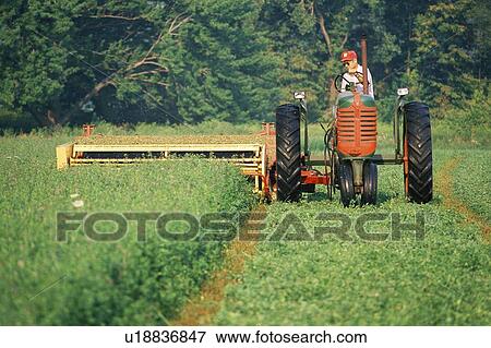Stock Photo - Farmer on a tractor harvesting a field. Fotosearch