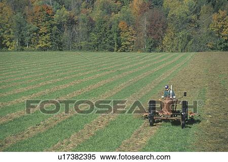 Farmer on a tractor in autumn View Large Photo Image Stock Photography - Farmer on a tractor in autumn . Fotosearch