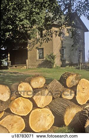 Firewood in Front of Rural Home View Large Photo Image Stock Image - Firewood in Front of Rural Home. Fotosearch