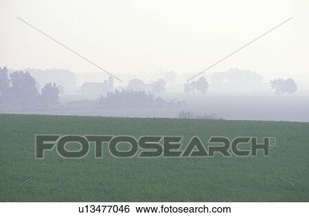 Stock Photograph - Soybean Field and Morning Fog. Fotosearch