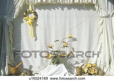 Apothecary storefront View Large Photo Image Stock Photo - Apothecary storefront. Fotosearch