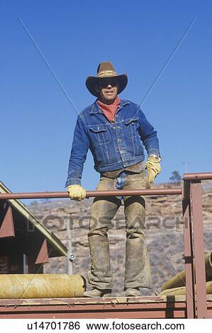 Portrait of a cowboy View Large Photo Image Stock Photograph - Portrait of a cowboy. Fotosearch