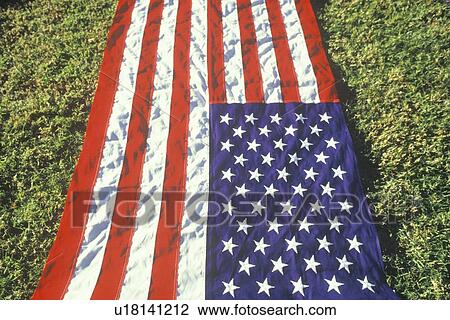 American Flag Laid Out on Green Lawn View Large Photo Image Stock Image - American Flag Laid Out on Green Lawn. Fotosearch