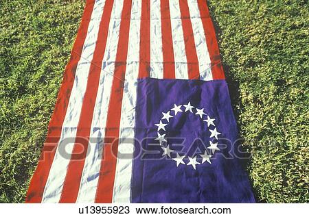 American Flag with Thirteen Stars Laid Out on Green Lawn, United States View Large Photo Image Stock Image - American Flag with Thirteen Stars Laid Out on Green Lawn, United States. Fotosearch