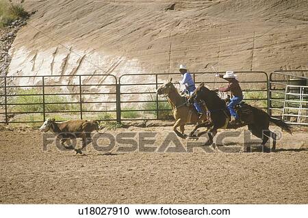 Calf roping, Inter-Tribal Ceremonial Indian Rodeo View Large Photo Image Stock Image - Calf roping, Inter-Tribal Ceremonial Indian Rodeo. Fotosearch