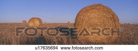 Hay Bails View Large Photo Image Picture - Hay Bails. Fotosearch