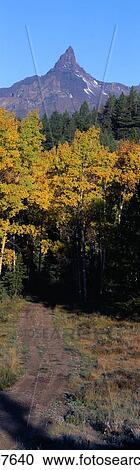 Aspens and Bear Tooth at Pilot Mountain View Large Photo Image Stock Image - Aspens and Bear Tooth at Pilot Mountain. Fotosearch