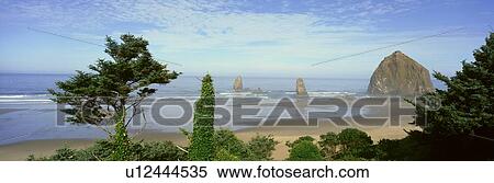Cannon Beach View Large Photo Image Stock Photography - Cannon Beach. Fotosearch